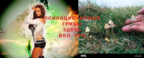 прущий лед Нея