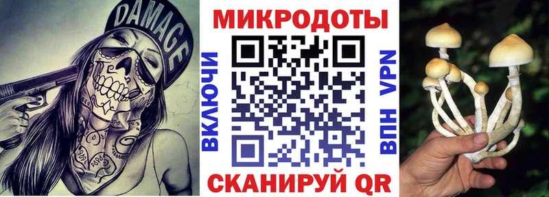 Купить  Чернушка  Псилоцибиновые грибы мухоморы 