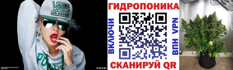 Купить закладки Чернушка Шишки марихуана план